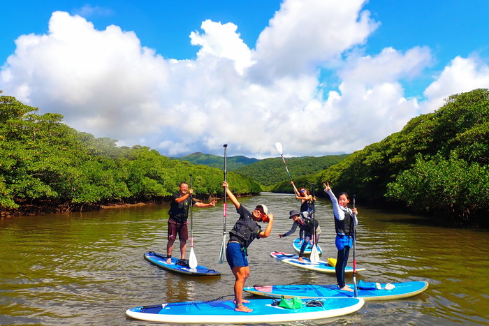【安栄 ET1~4】選べる西表島半日アクティビティと竹富観光プラン