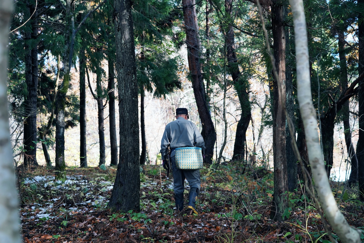 Mountain to Table - 出羽屋と育むお山のめぐみをいただく旅 -
