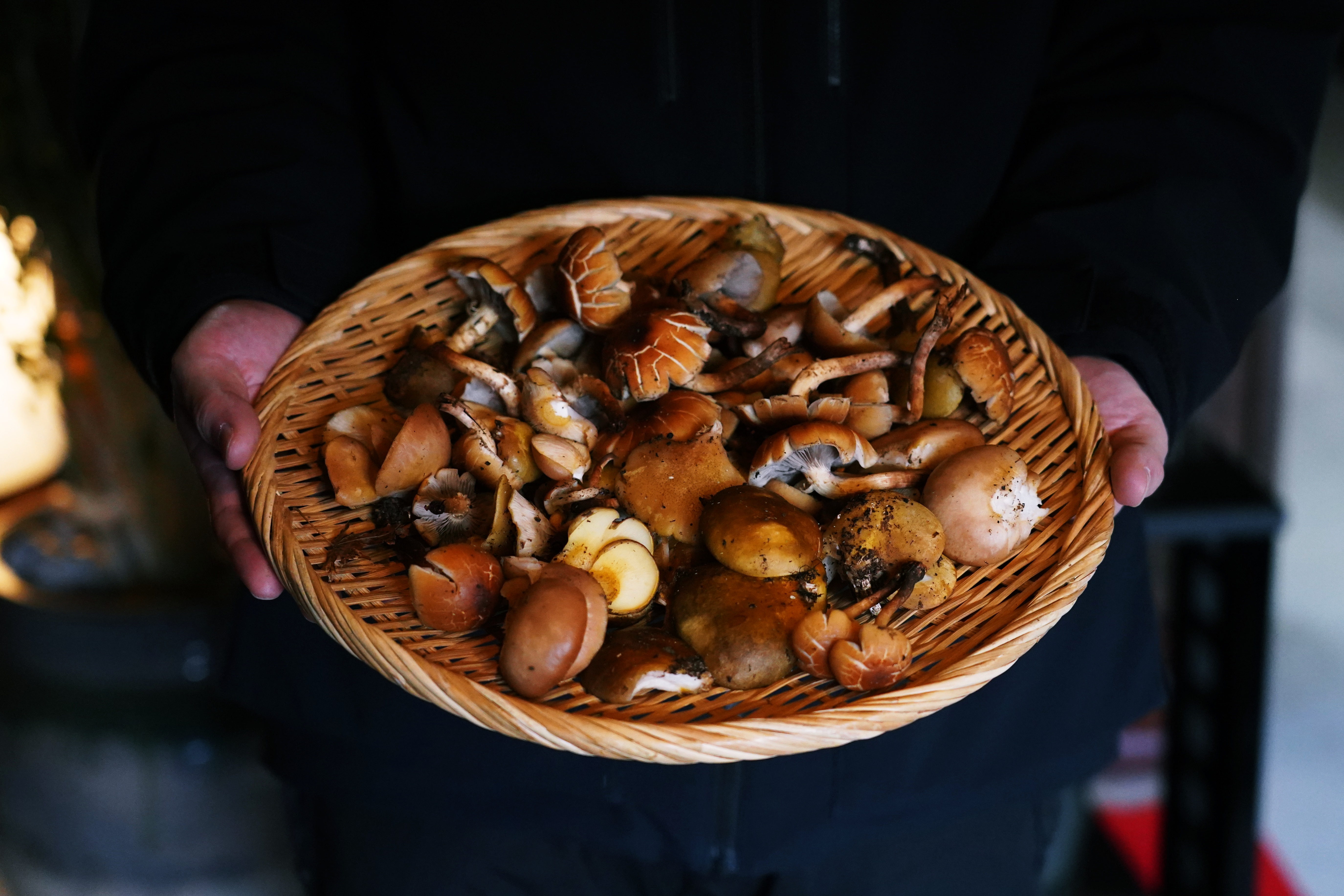 Mountain to Table – A Journey to the Roots of Japan’s Mountain Food Culture –