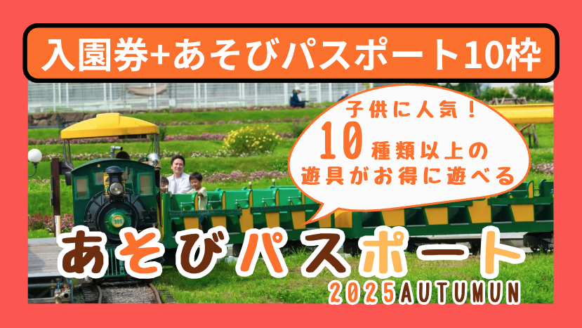 🎟 Weekend & Holiday Special: “Blumen Hill Full Enjoyment Ticket” (Admission + 10-Activity Pass)