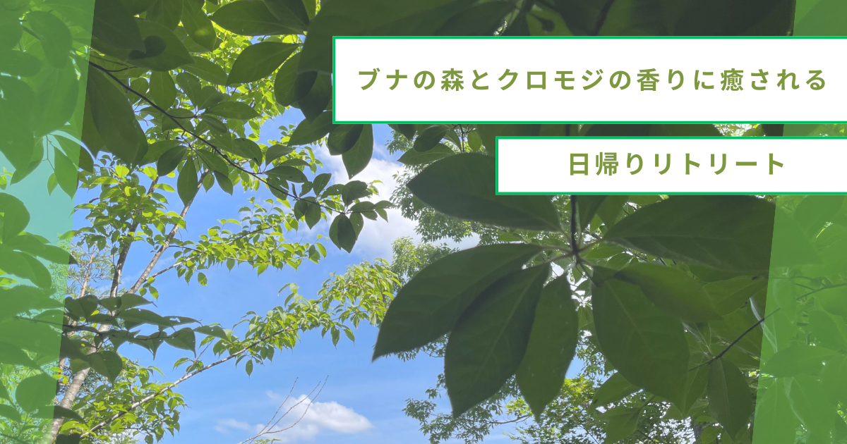 ブナの森とクロモジの香りに癒される日帰りリトリート
