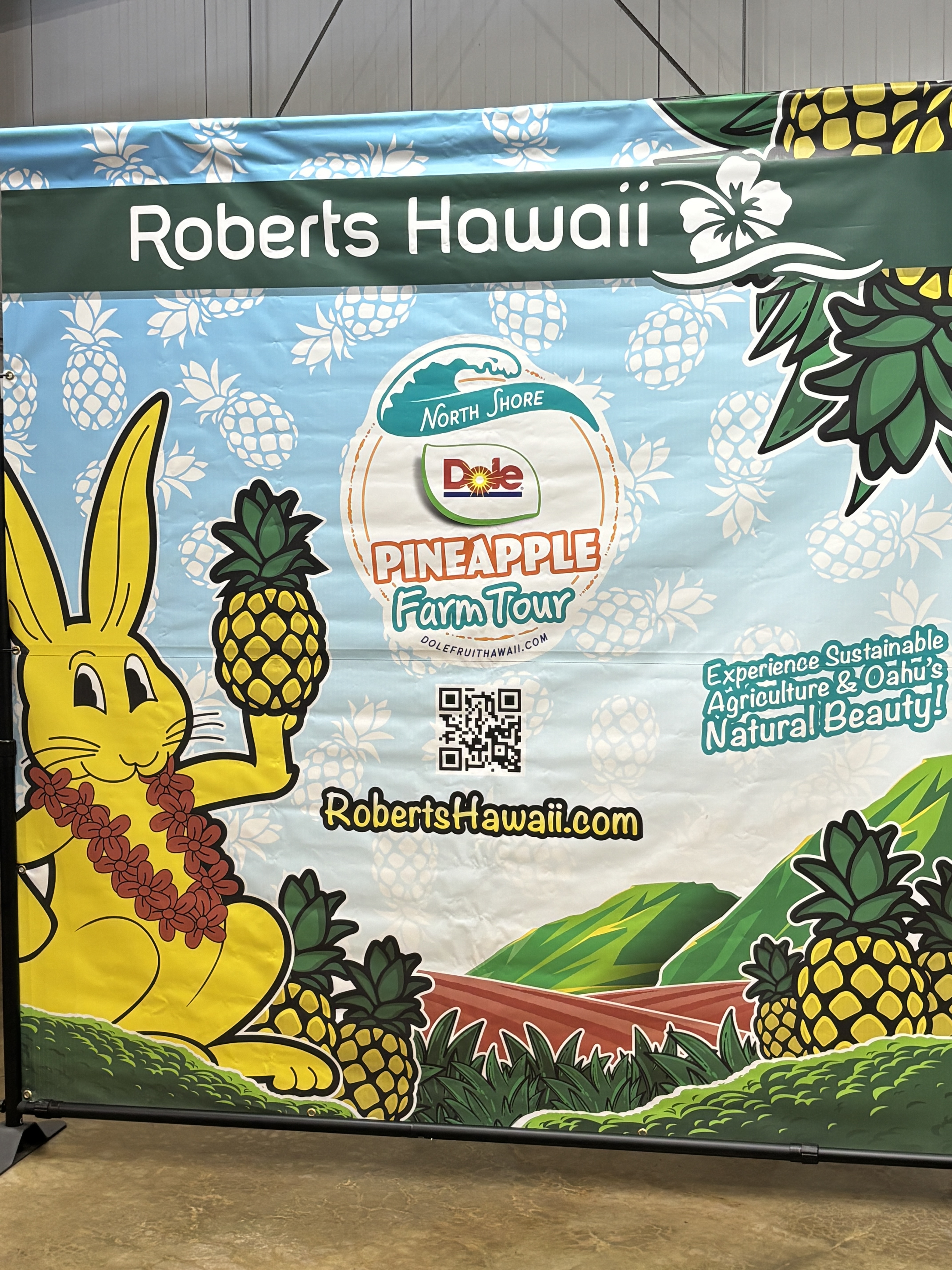 オアフ島・メイドインハワイ】ドール・パイナップル農園＆工場見学＋