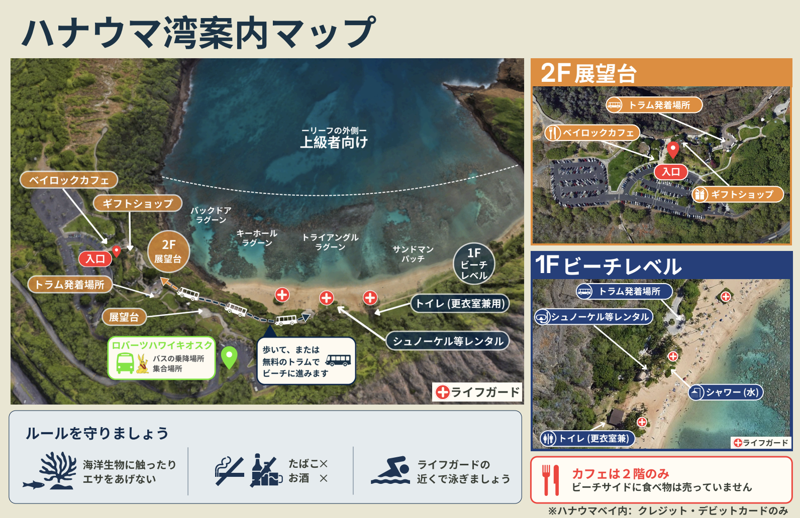 JALOALO限定プログラム