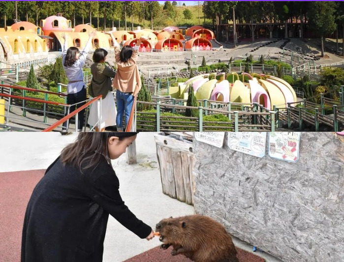 【Web限定 10%オフ】”元気の森”+”ふれあい動物王国” セット券 ※ご予約日より90日間有効