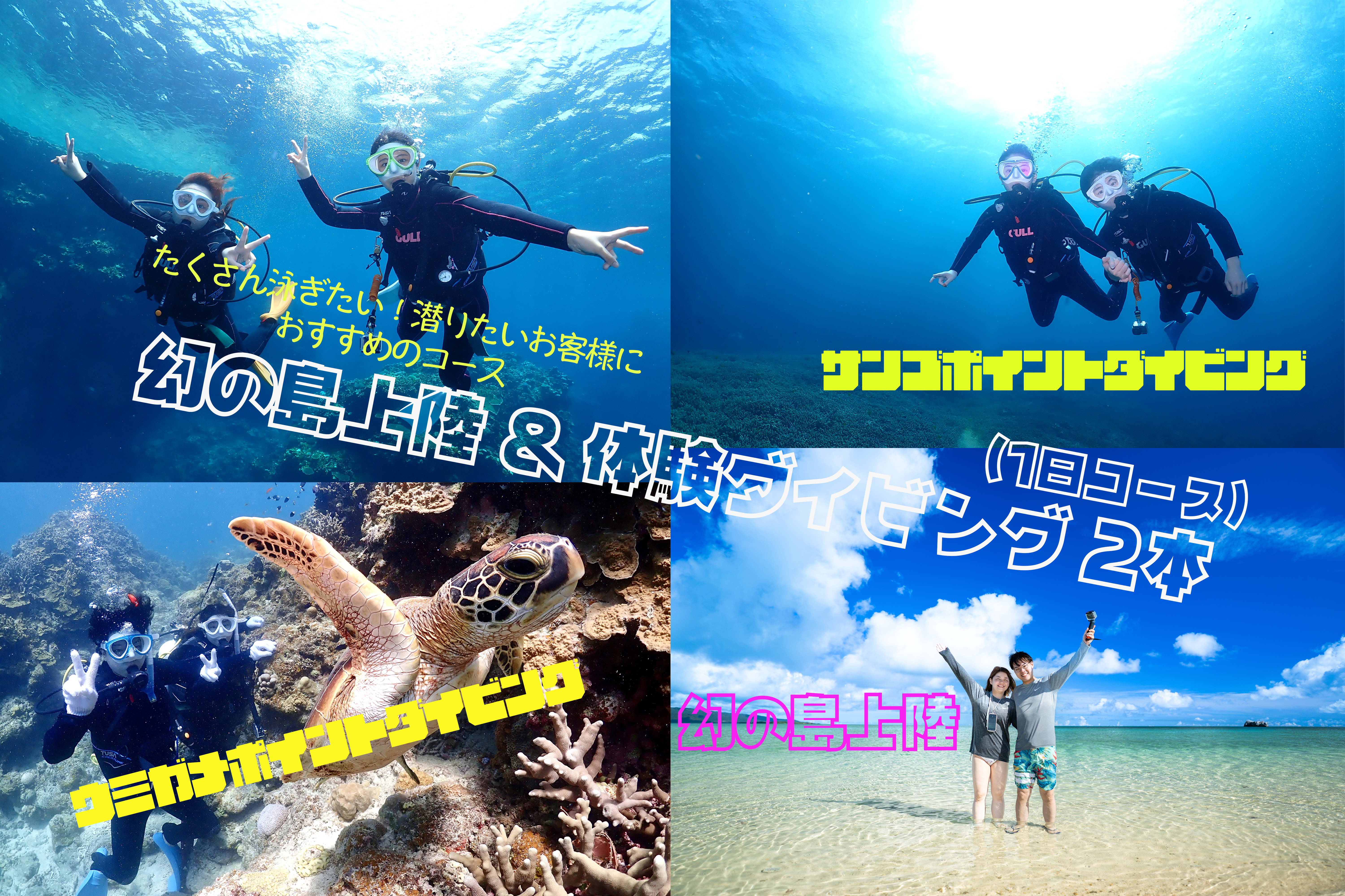 1組様にスタッフ1名専属で安心♪】幻の島上陸＆体験2ダイブ♪ウミガメ