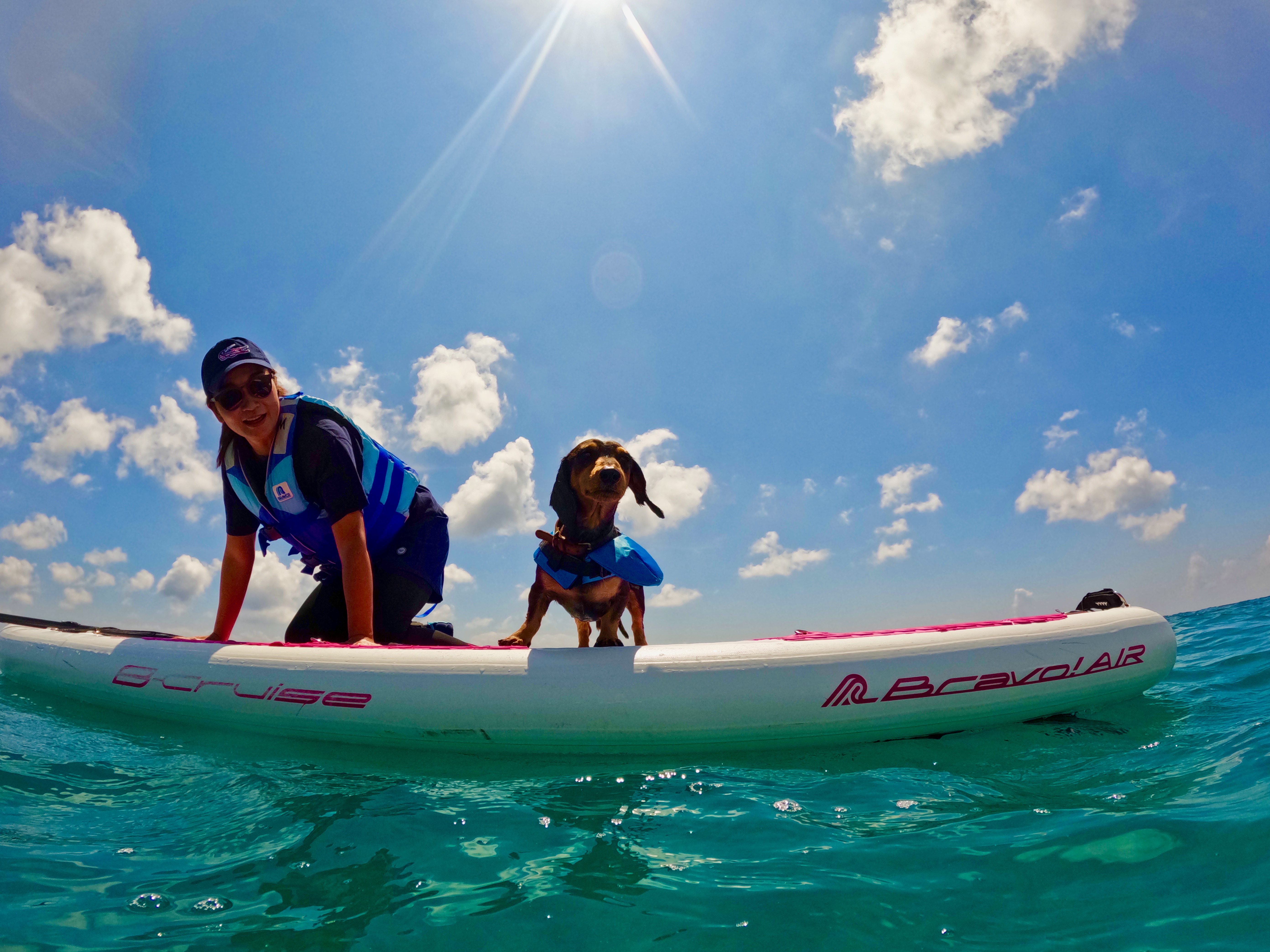 19e747c5-79a7-439b-a36c-