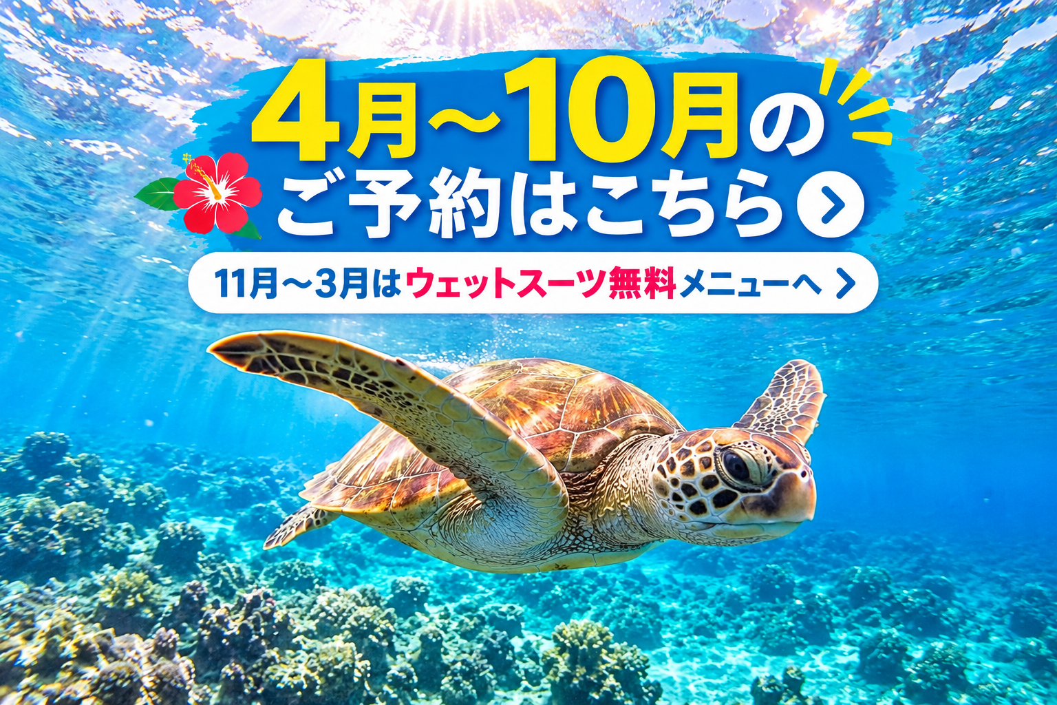 【ウミガメ遭遇率100%（昨年度実績）｜口コミ評価No.1｜家族で安心】沖縄・恩納村｜4月〜10月ベストシーズン ウミガメシュノーケル｜初心者参加率90%以上｜高確率でウミガメに会える｜手ぶらOK（温水・冷水シャワー＆バスタオル無料）｜写真データ無制限無料