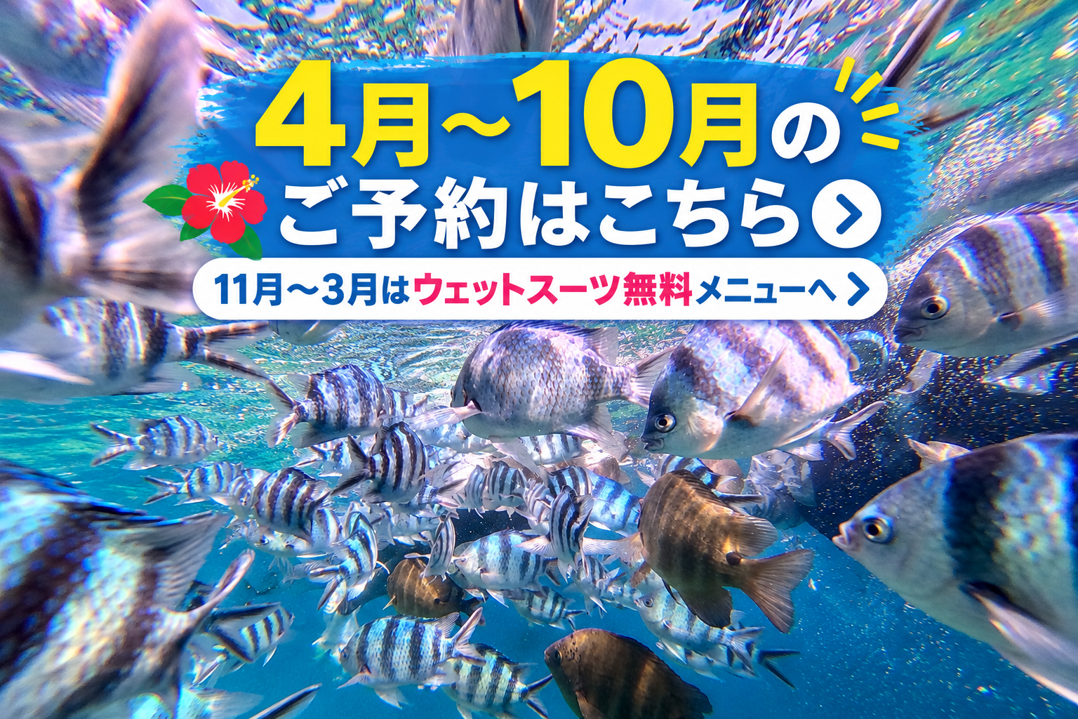 【予約数No.1｜家族で安心】沖縄・恩納村｜4月〜10月ベストシーズン 青の洞窟ボートシュノーケル｜高確率で青の洞窟へご案内｜初心者参加率90%以上｜餌付け体験・写真＆タオル無料