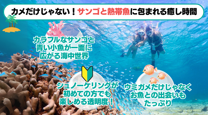 うみ様確認用 umi様オーダー確認用 うみさま確認用