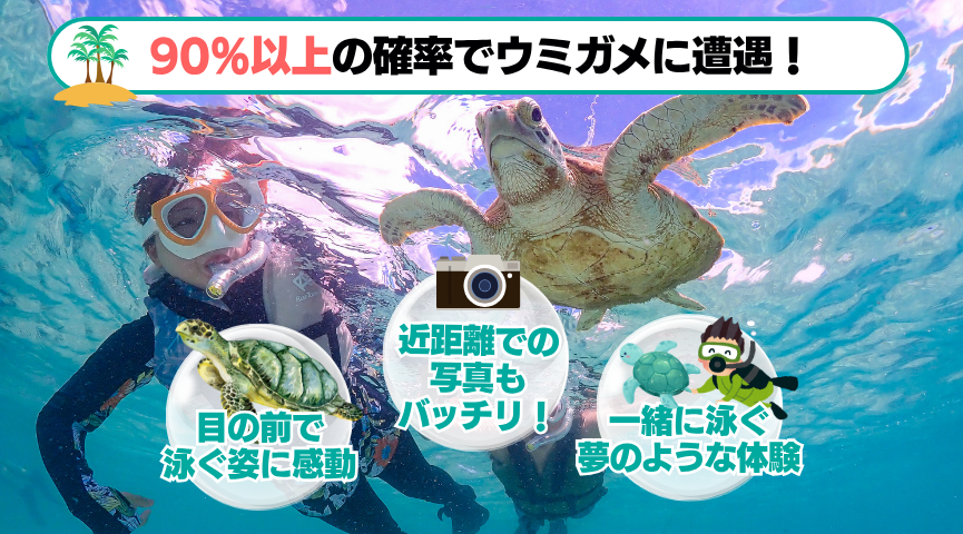 うみ様確認用 umi様オーダー確認用 うみさま確認用