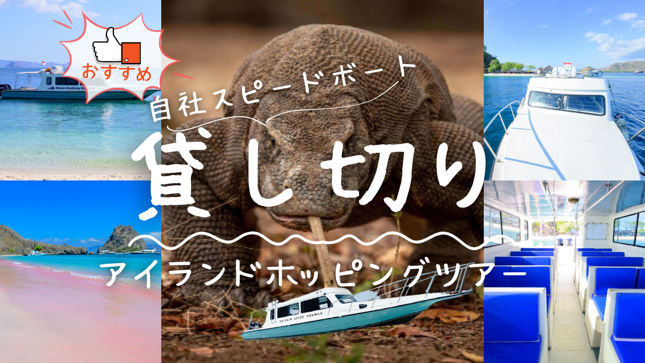 18名まで同料金！貸し切りプラン | コモドドラゴンに会いに行く!アイランドホッピングツアー