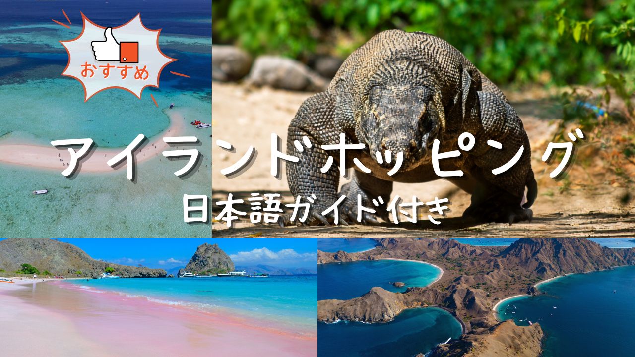 日本語ガイド付きアイランドホッピングツアー | コモドドラゴンに会える！コモドの見どころを一日で楽しむ!