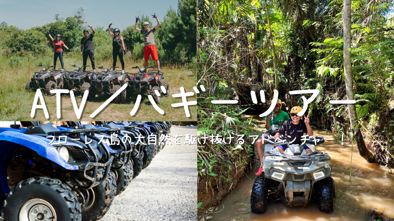 ATV／バギーツアー｜フローレス島の大自然と田園風景を駆け抜けるアドベンチャー！