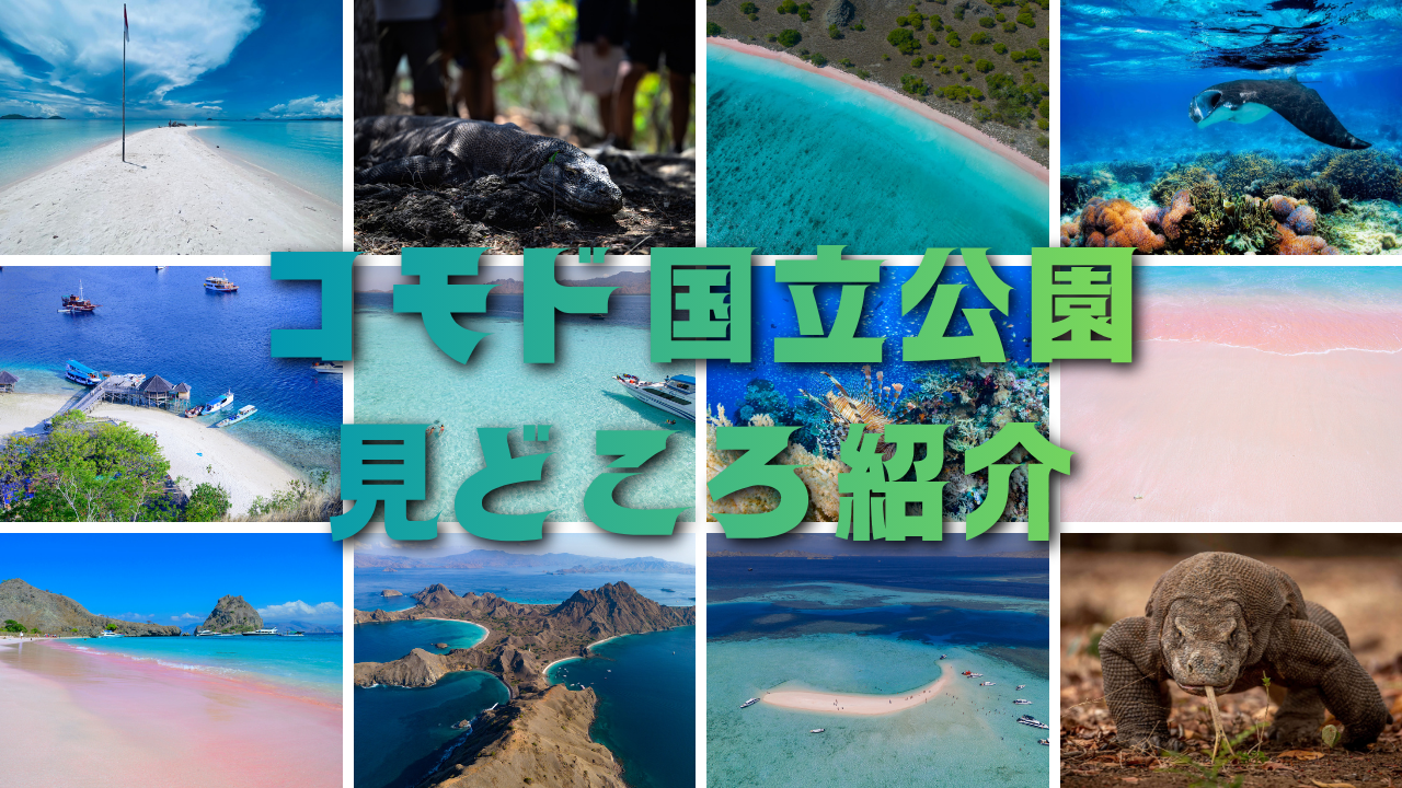 コモド国立公園 見どころ紹介