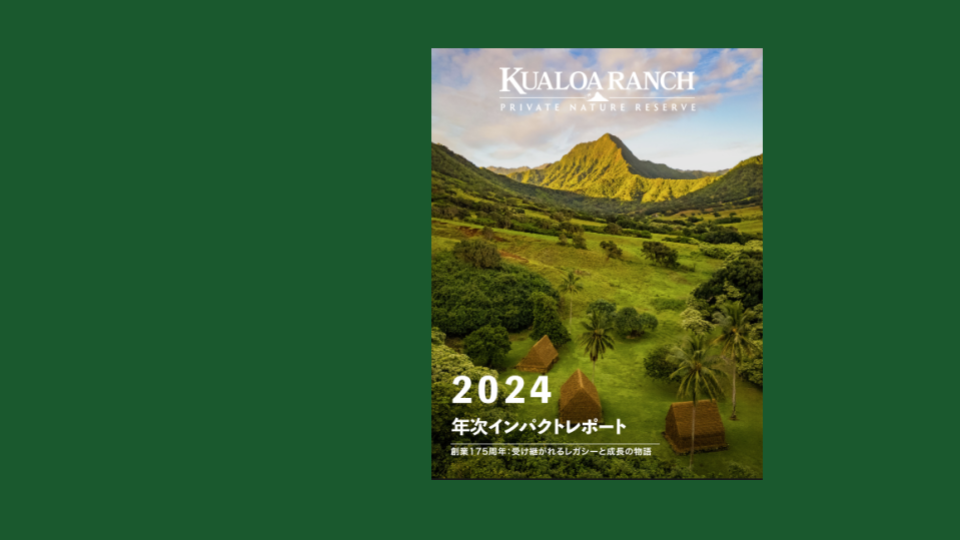 クロアツアー クアロアランチツアー（乗馬／四輪バギー／バイク／ジップライン