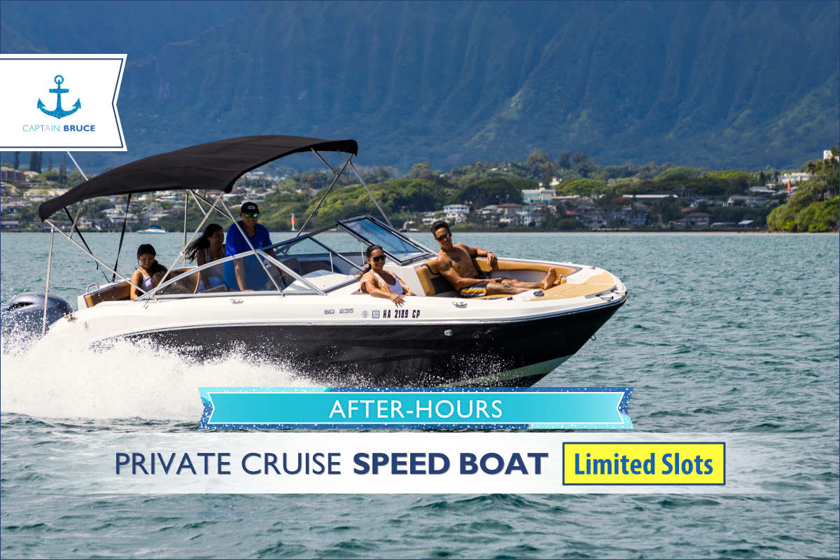 Kaneohe Sandbar After-Hours Private Cruise / SPEED BOAT 1.5h