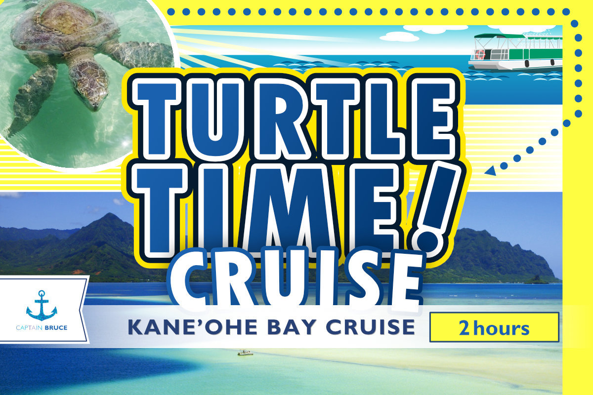 Turtle Time Cruise - CAPTAIN BRUCE Kaneohe Sandbar Tour