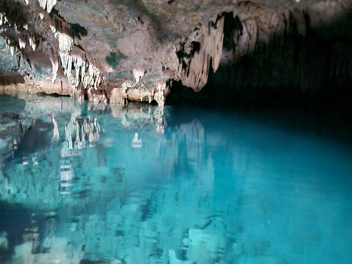 d0b62648-9a66-45a0-b5a0-