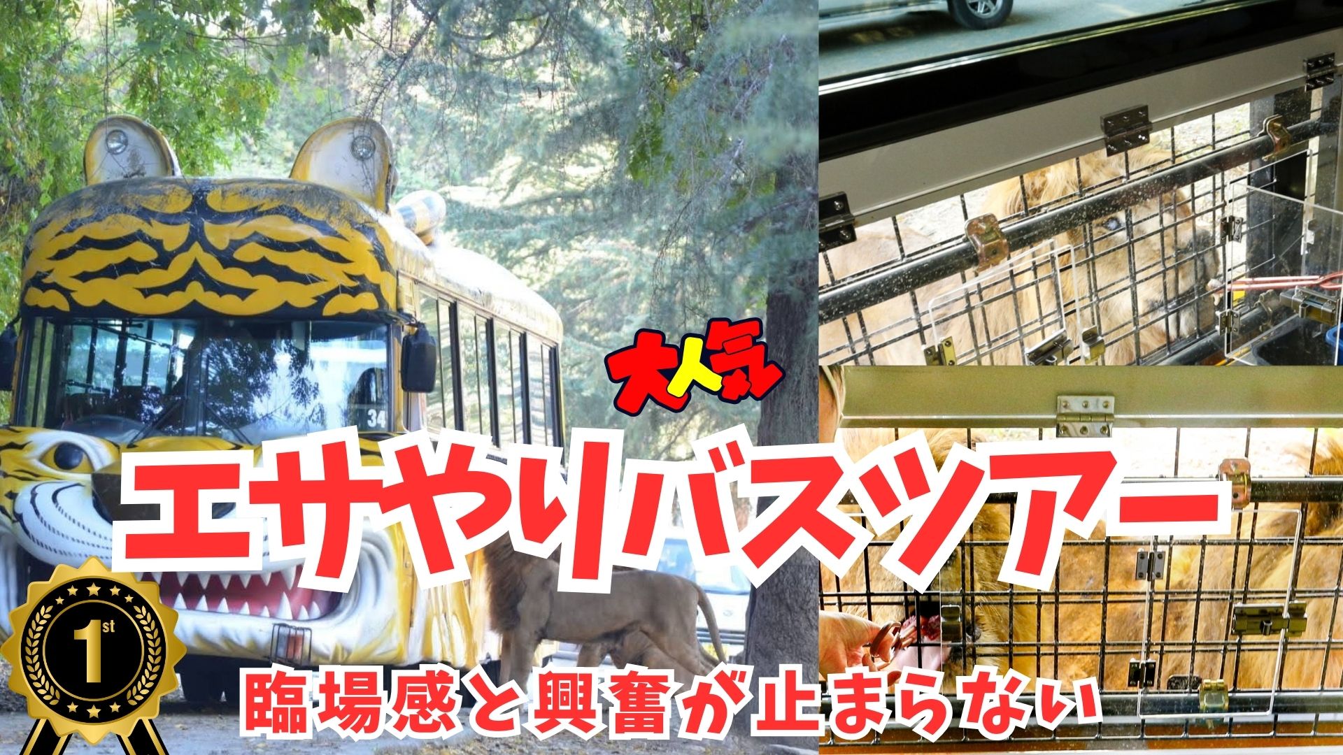 当日朝7時まで購入可】入園チケット＋エサやり体験バス | 群馬