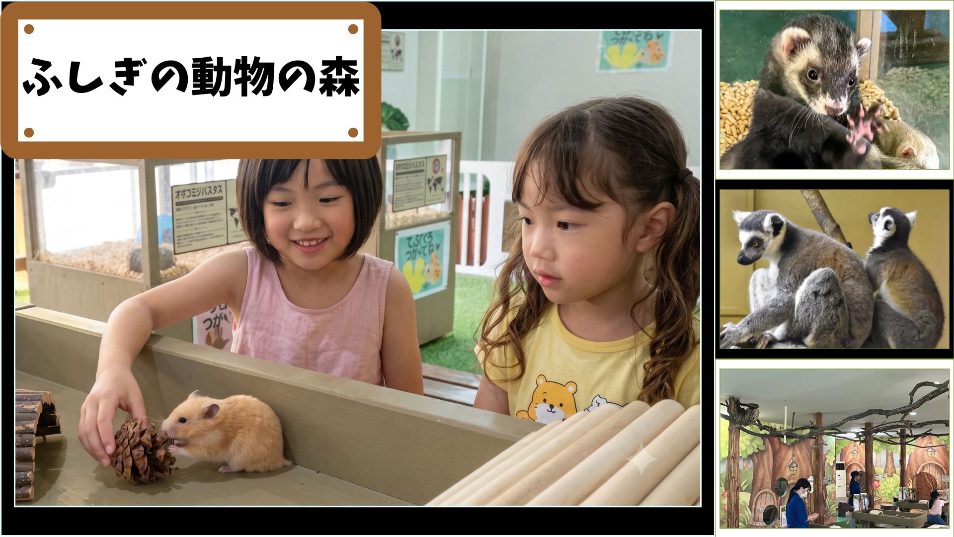 ふれあい体験プラン（入園料＋エサ引換券＋ふれあいパーク入場券
