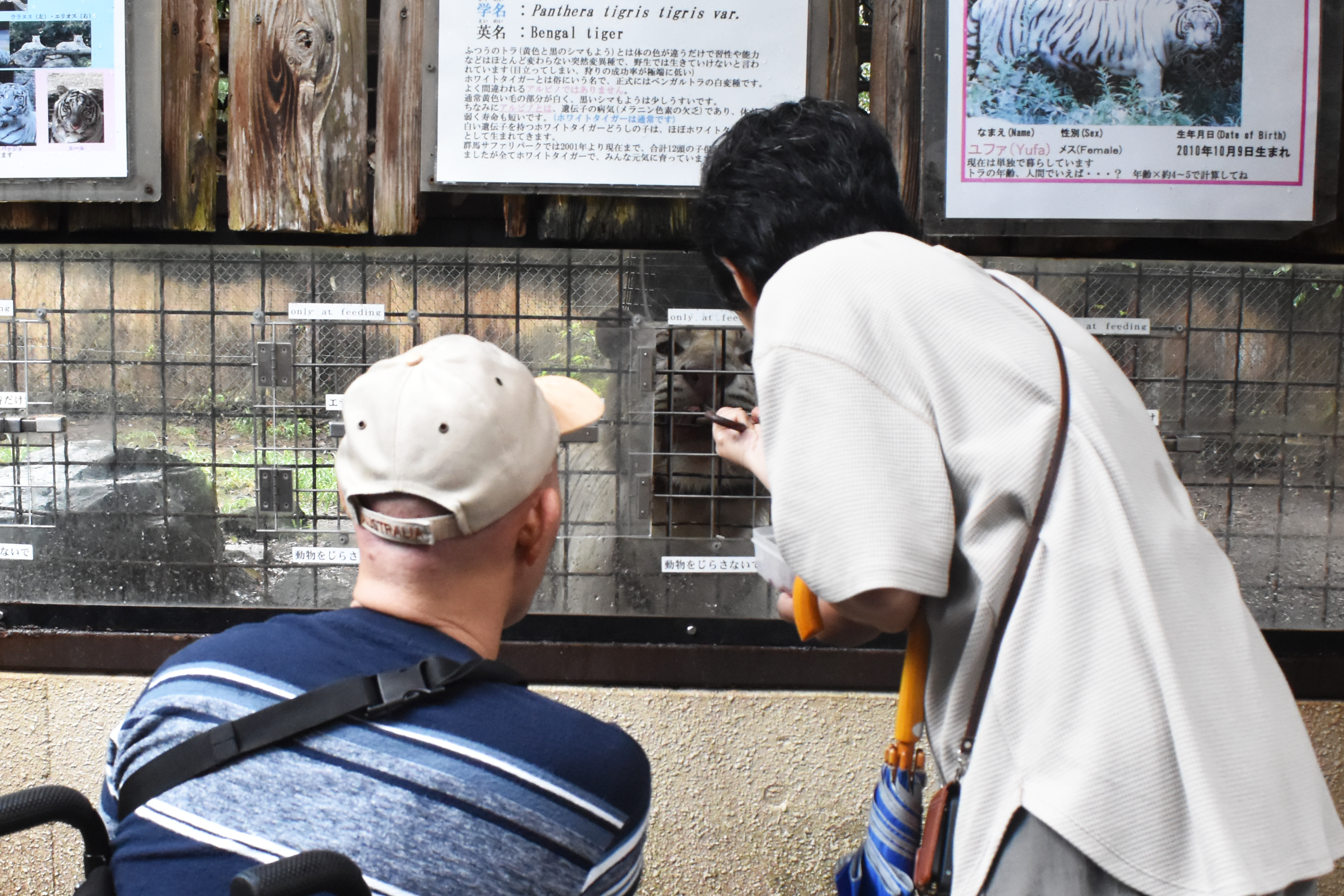 土日祝限定・当日朝7時まで購入可】入園チケット＋獣舎見学ツアー