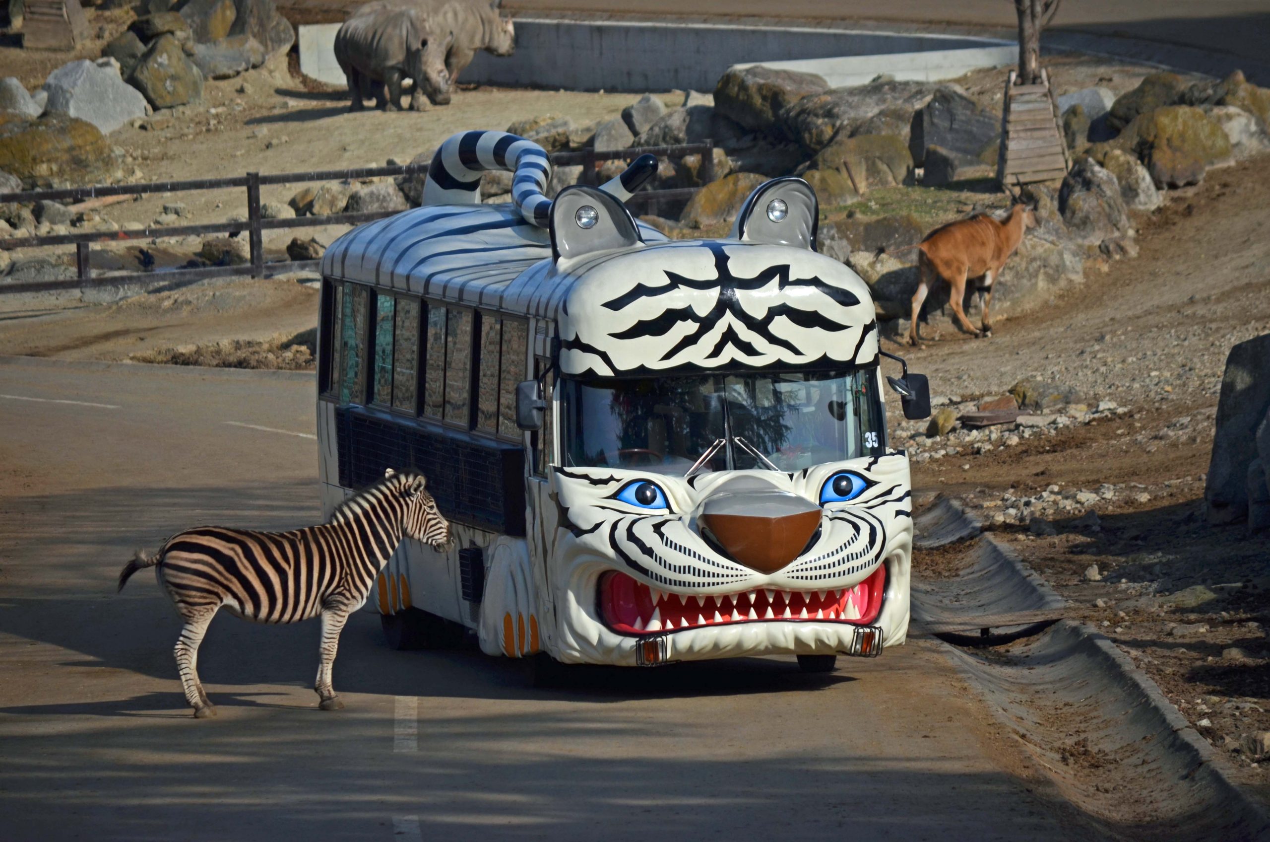 当日朝7時まで購入可】入園チケット＋エサやり体験バス | 群馬