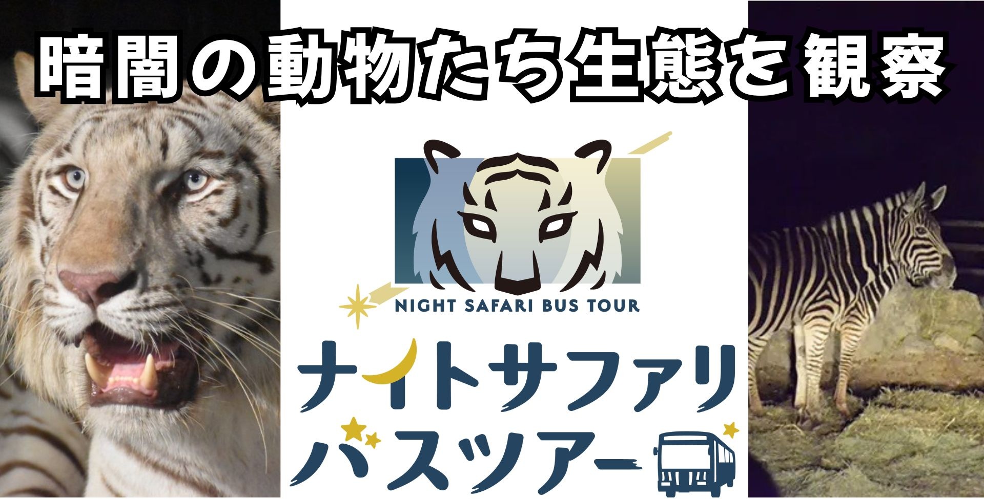 512d3a27-ac59-447b-bc43- 512d3a27-ac59-447b-bc43-