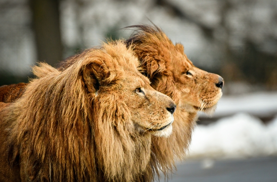 573724e8-3697-4131-b4e1-