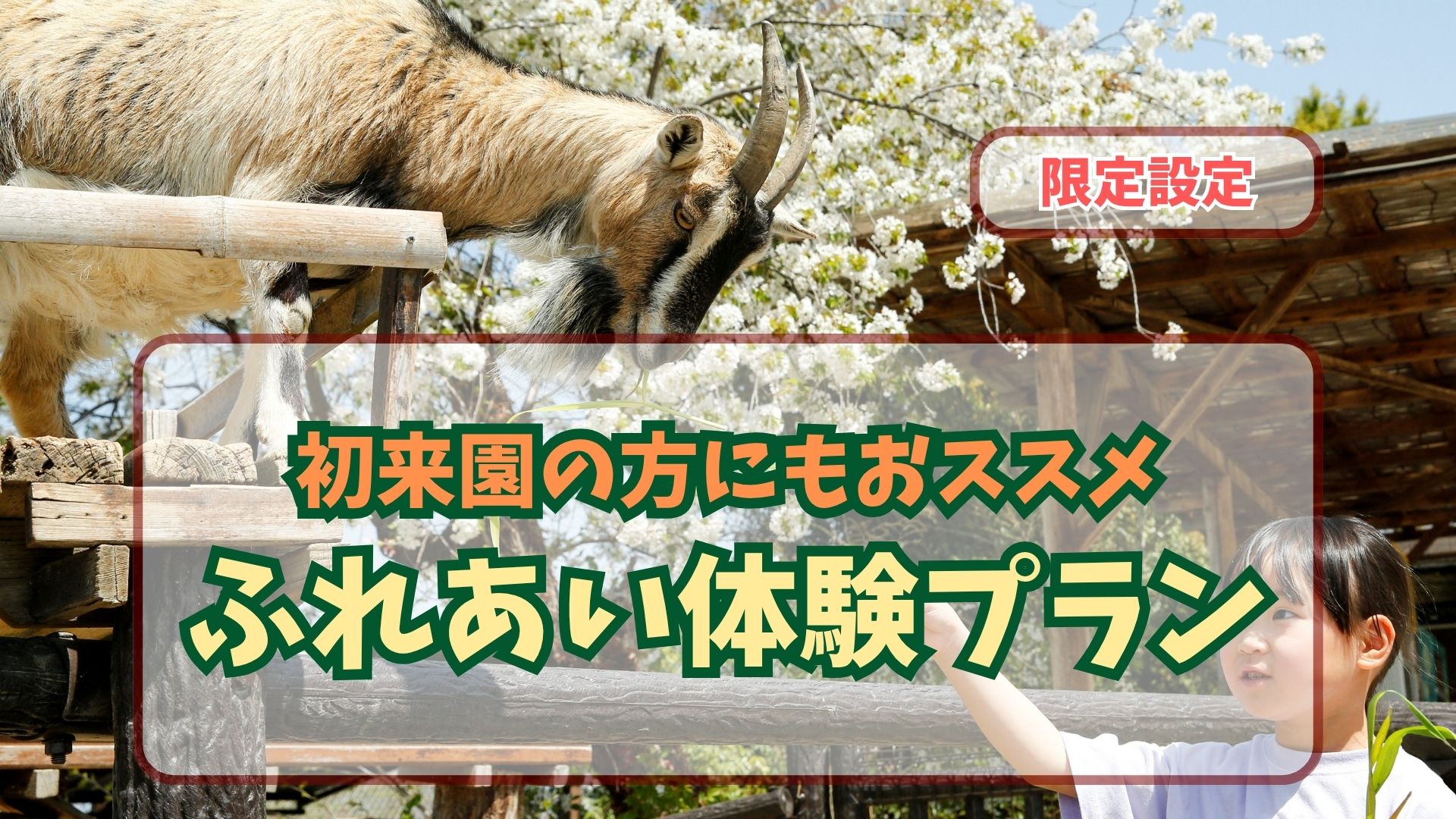 ふれあい体験プラン（入園料＋エサ引換券＋ふれあいパーク入場券