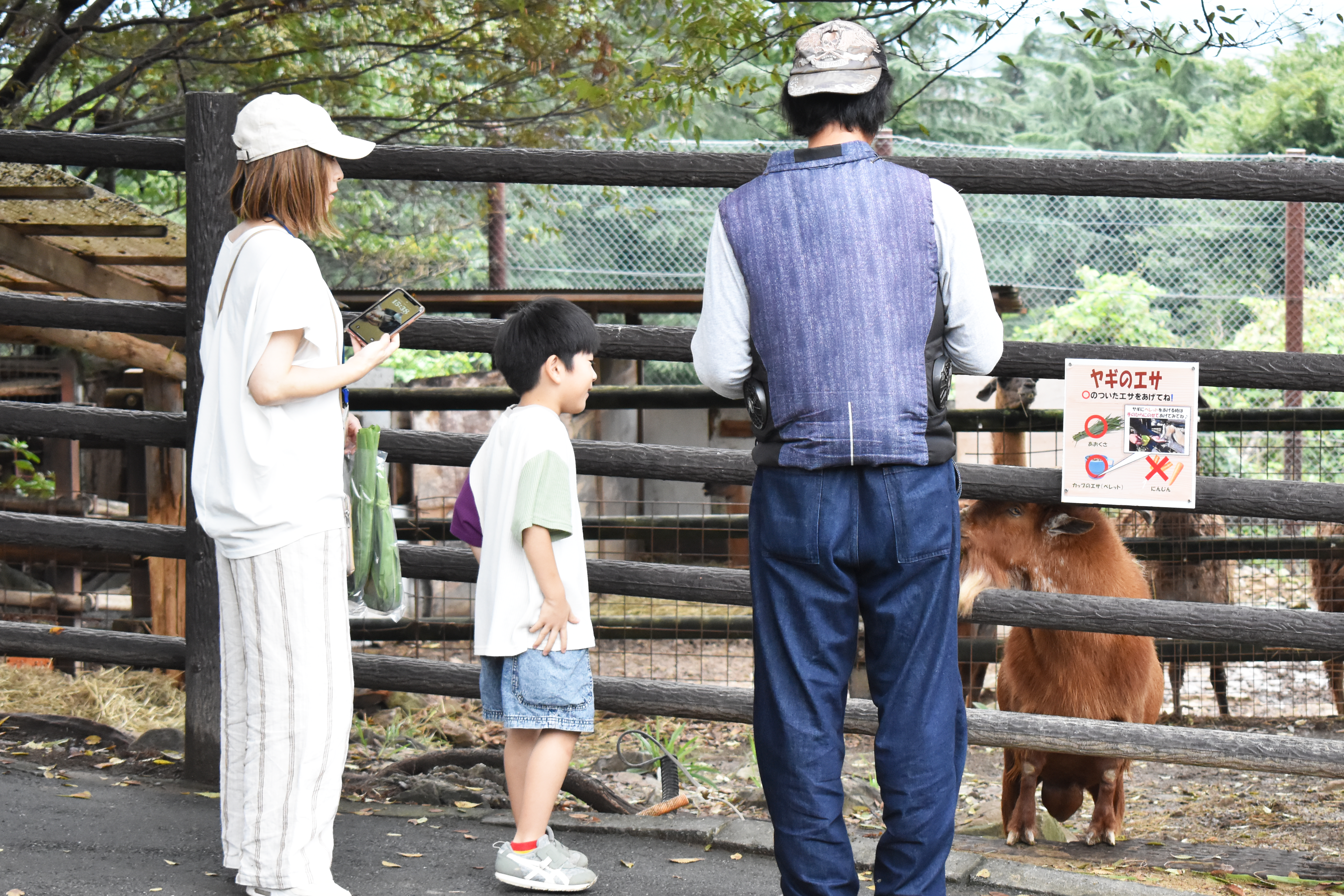 土日祝限定・当日朝7時まで購入可】入園チケット＋獣舎見学ツアー