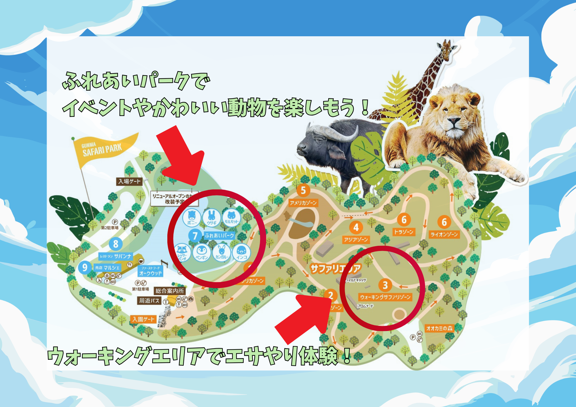 エサやり体験ツアー付き入園チケット | 群馬サファリパーク 約100種類