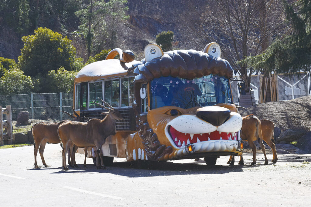 平日限定・当日朝7時まで購入可】入園チケット＋エサバスplus | 群馬