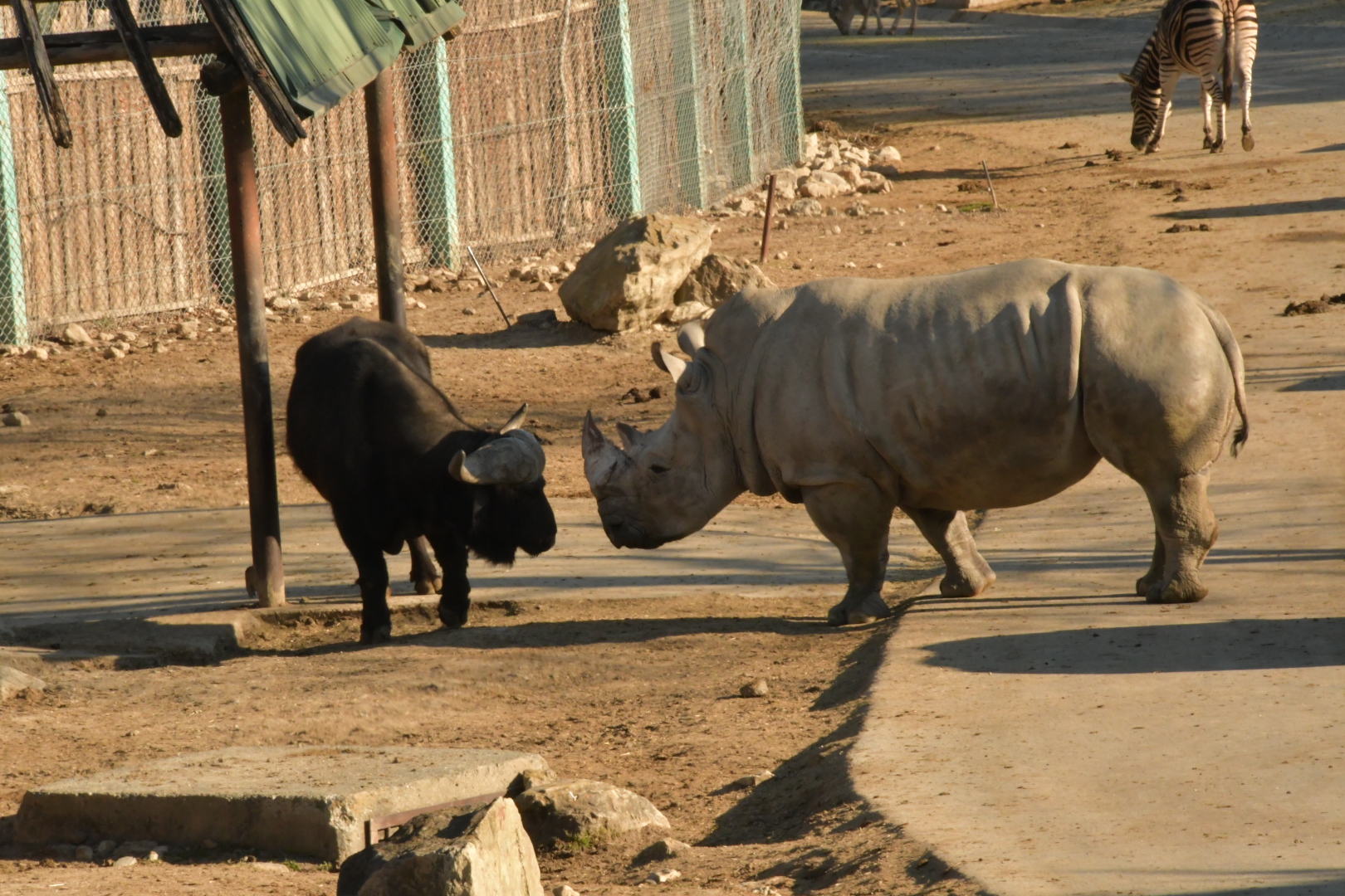 土日祝日限定・当日朝7時まで購入可】入園チケット＋サファリバス