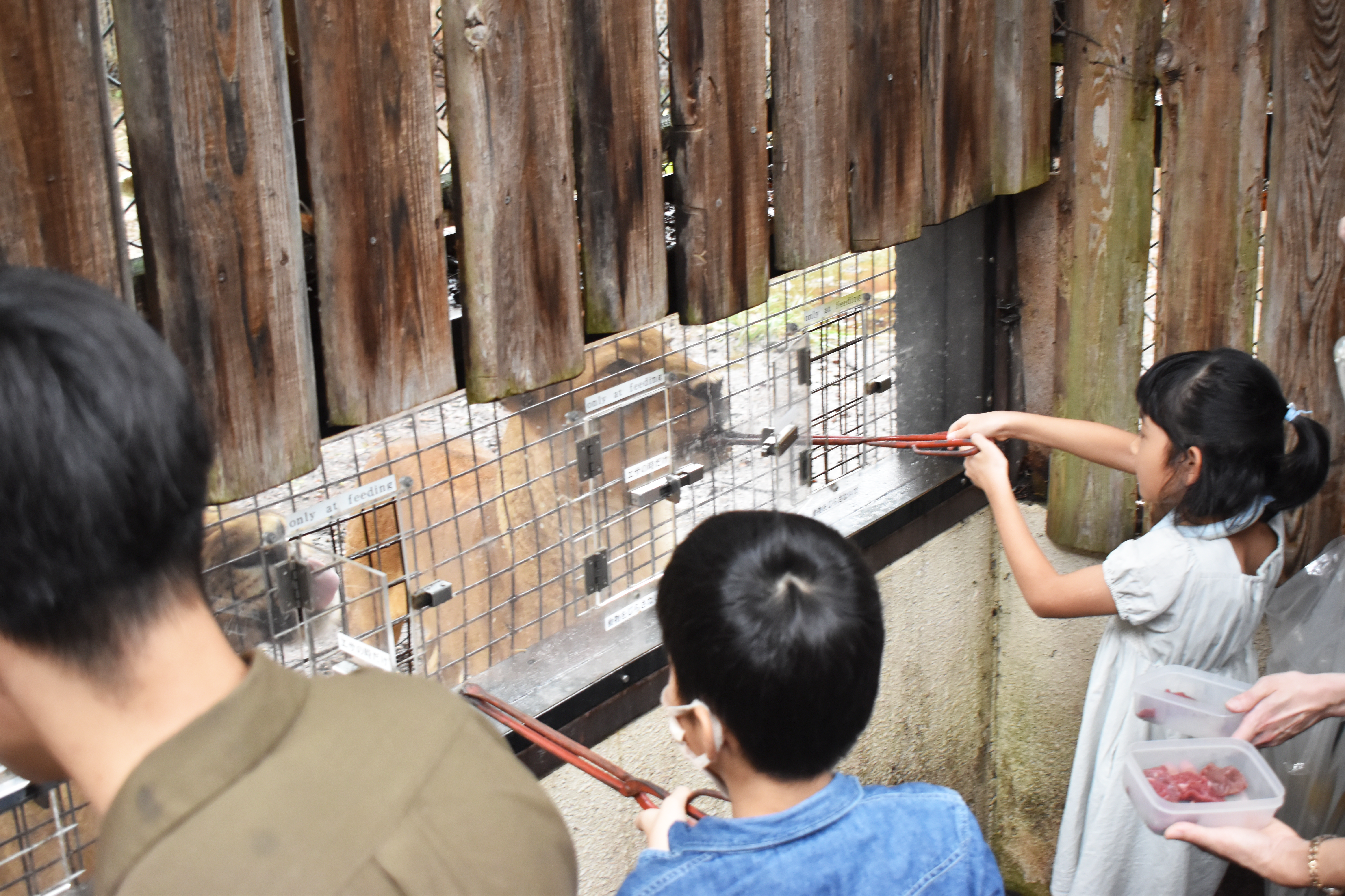 土日祝限定・当日朝7時まで購入可】入園チケット＋獣舎見学ツアー