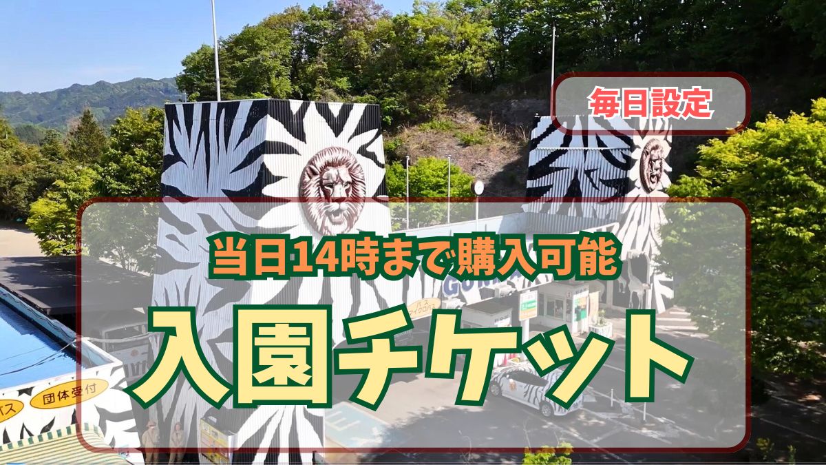 平日限定の入園チケット | 群馬サファリパーク 約100種類もの動物を