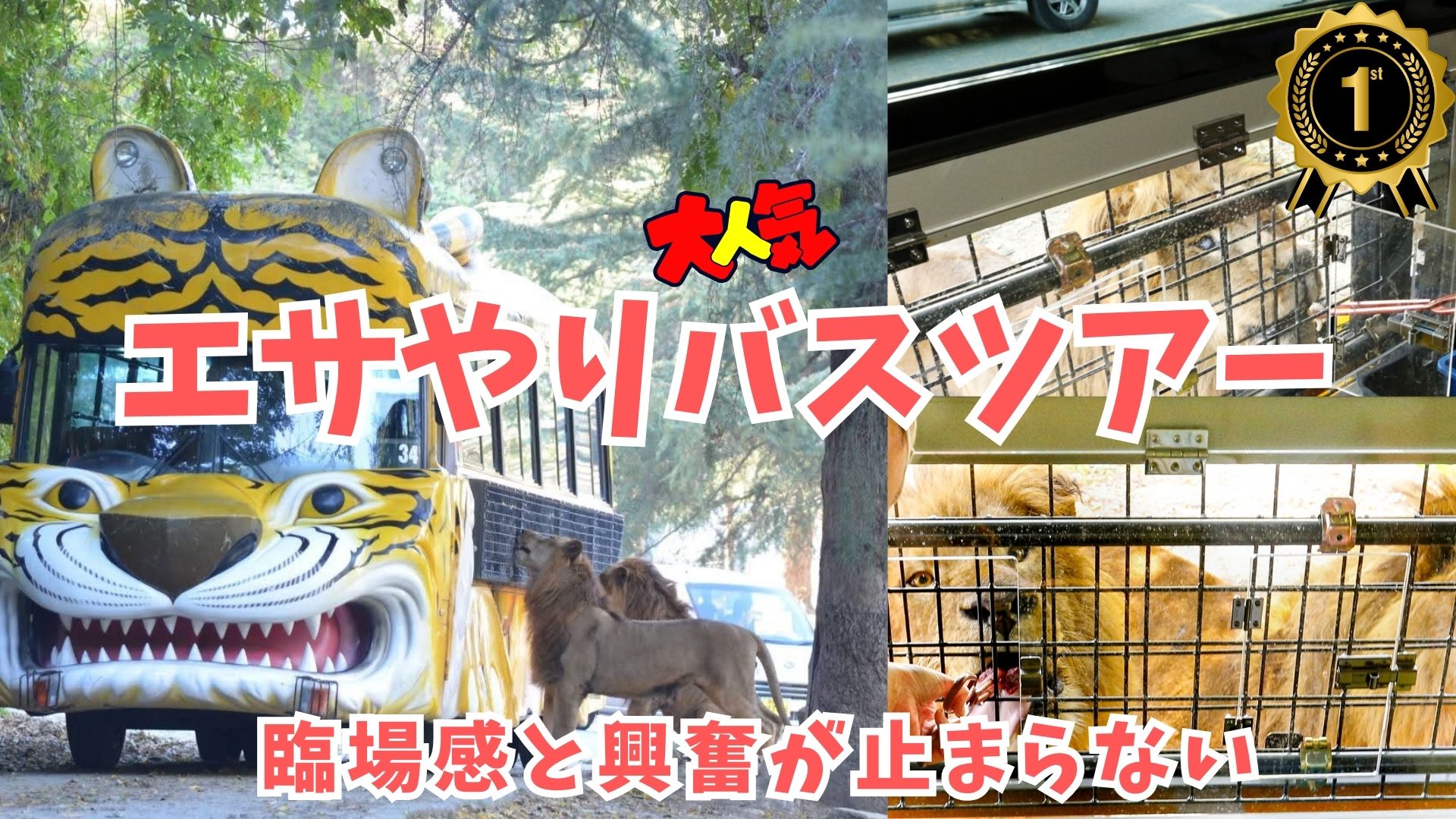 サファリスペ様　リクエスト エサバスplus（平日限定） | 野生の王国 群馬サファリパーク