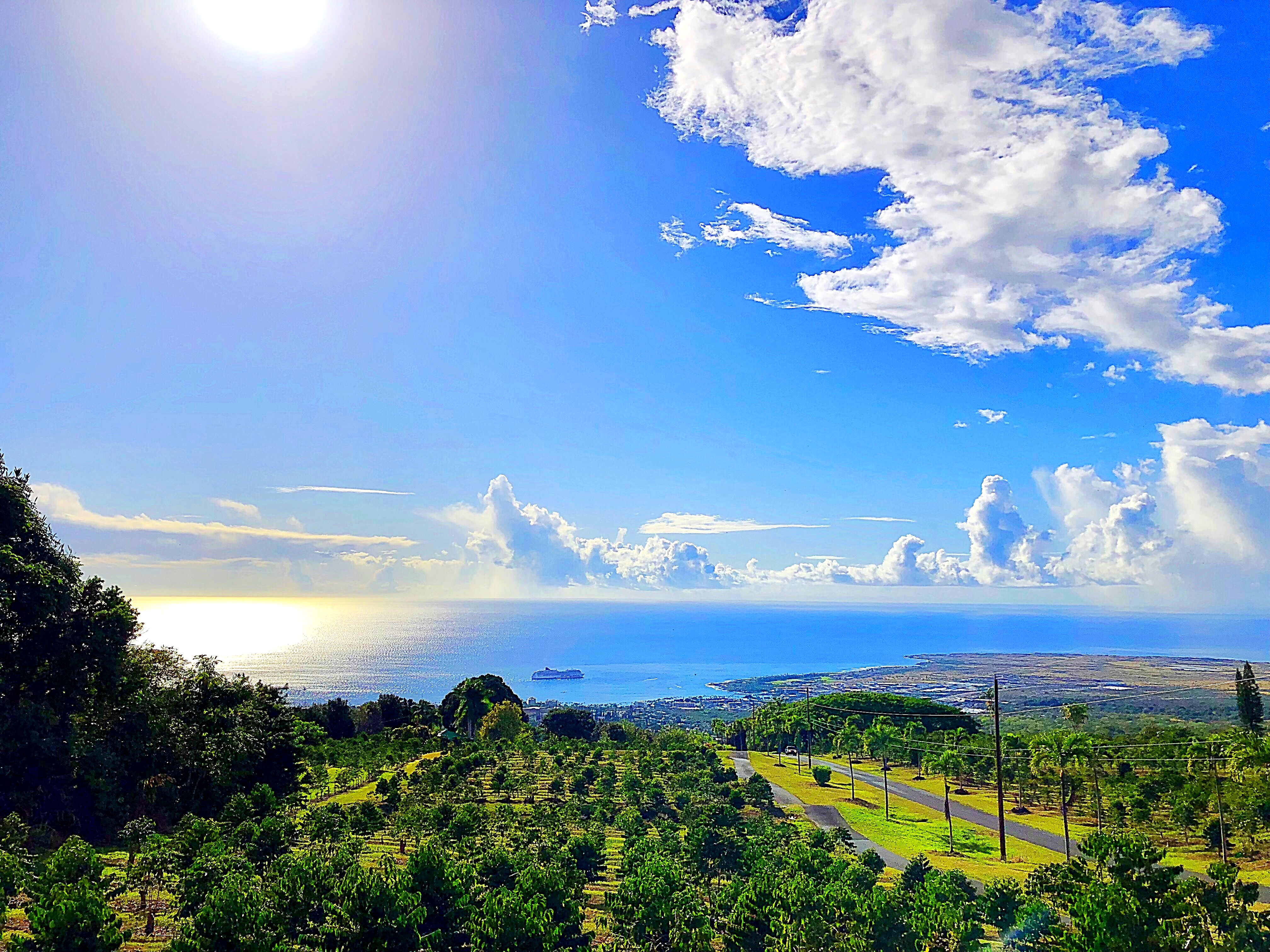 UCC Hawaii - Cafe in Holualoa