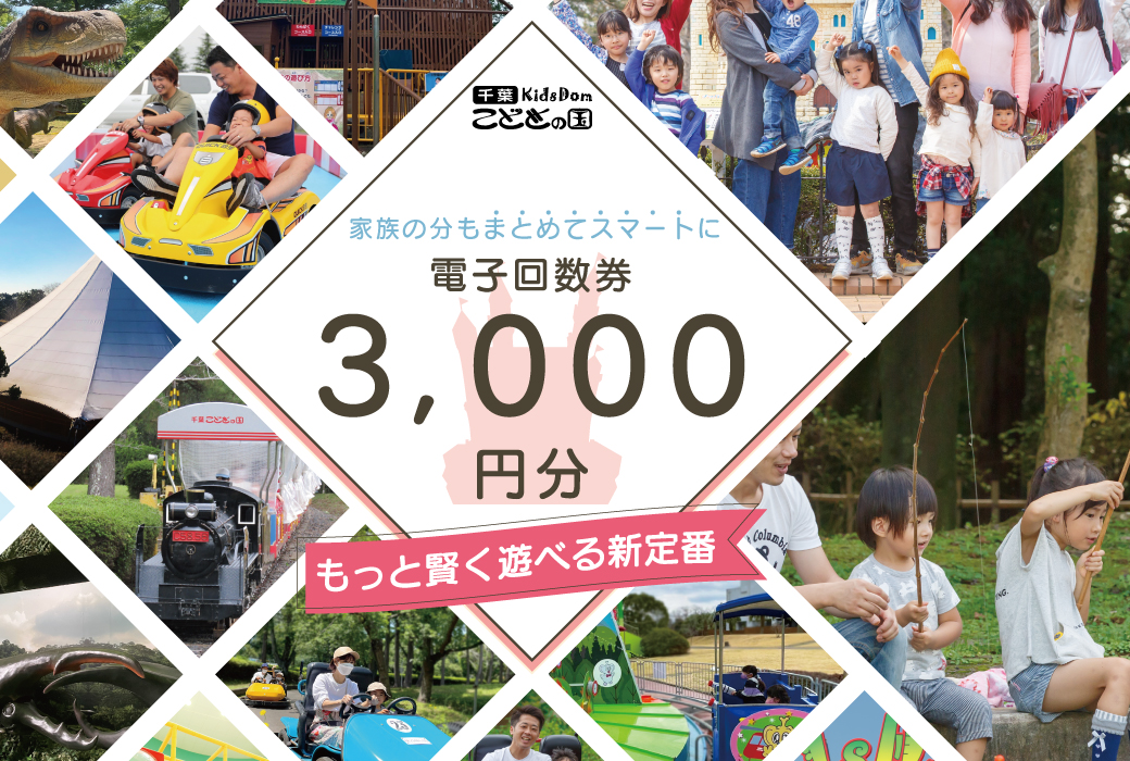 便利でスムーズ【Web限定で330円オトク】3000円分が2670円で購入可能　回数券30枚