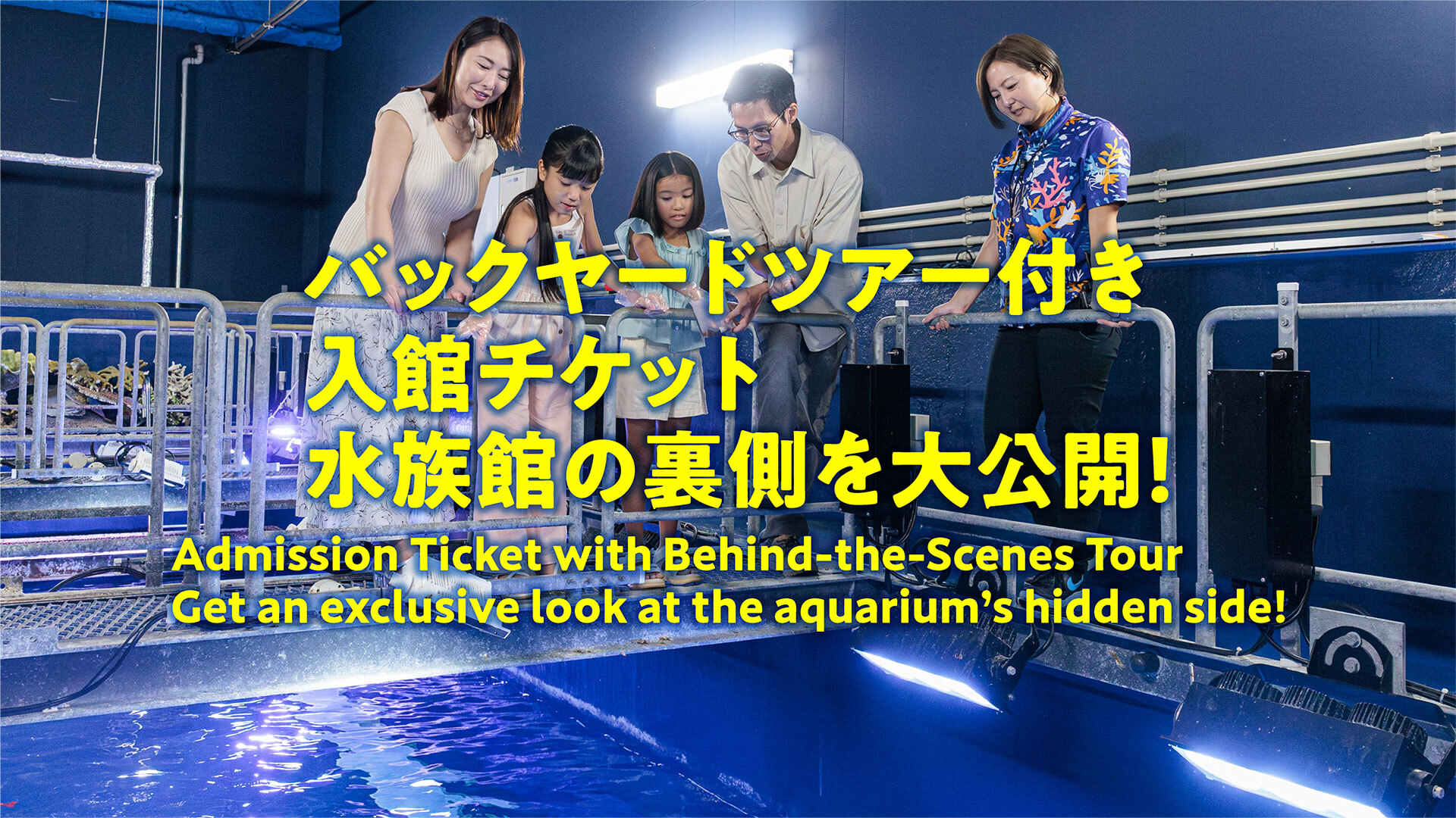含後台參觀的入館門票 🚩 水族館的幕後世界大公開！