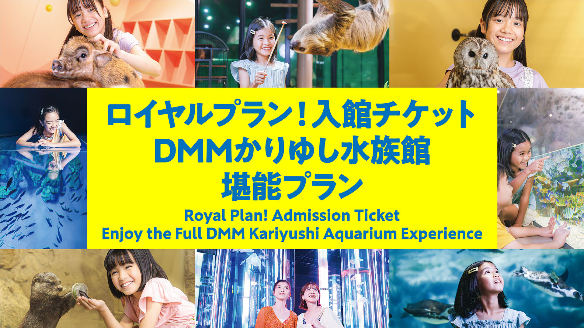 至尊套餐！入館門票🎫  暢遊DMM Kariyushi水族館套餐