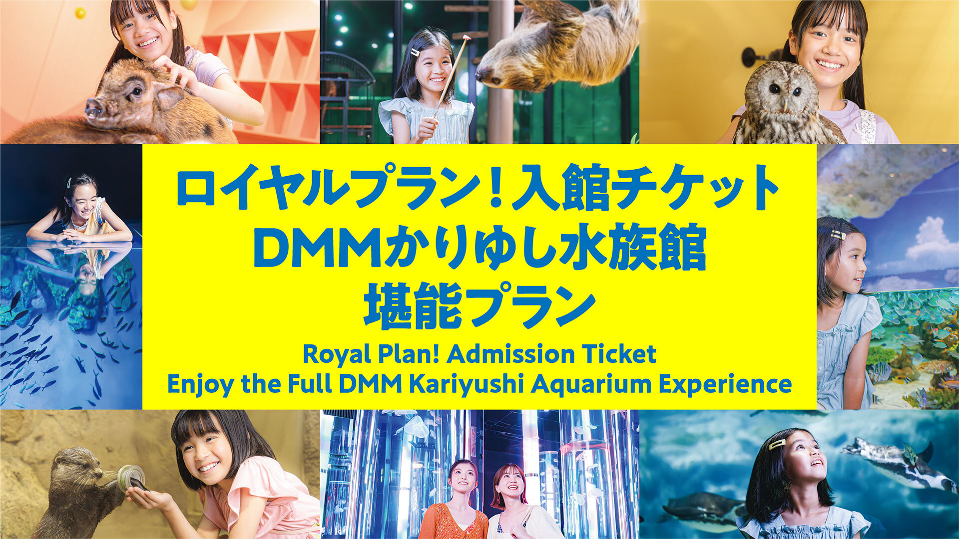 로얄플랜! 입장 티켓🎫DMM카리유시수족관 만끽 플랜