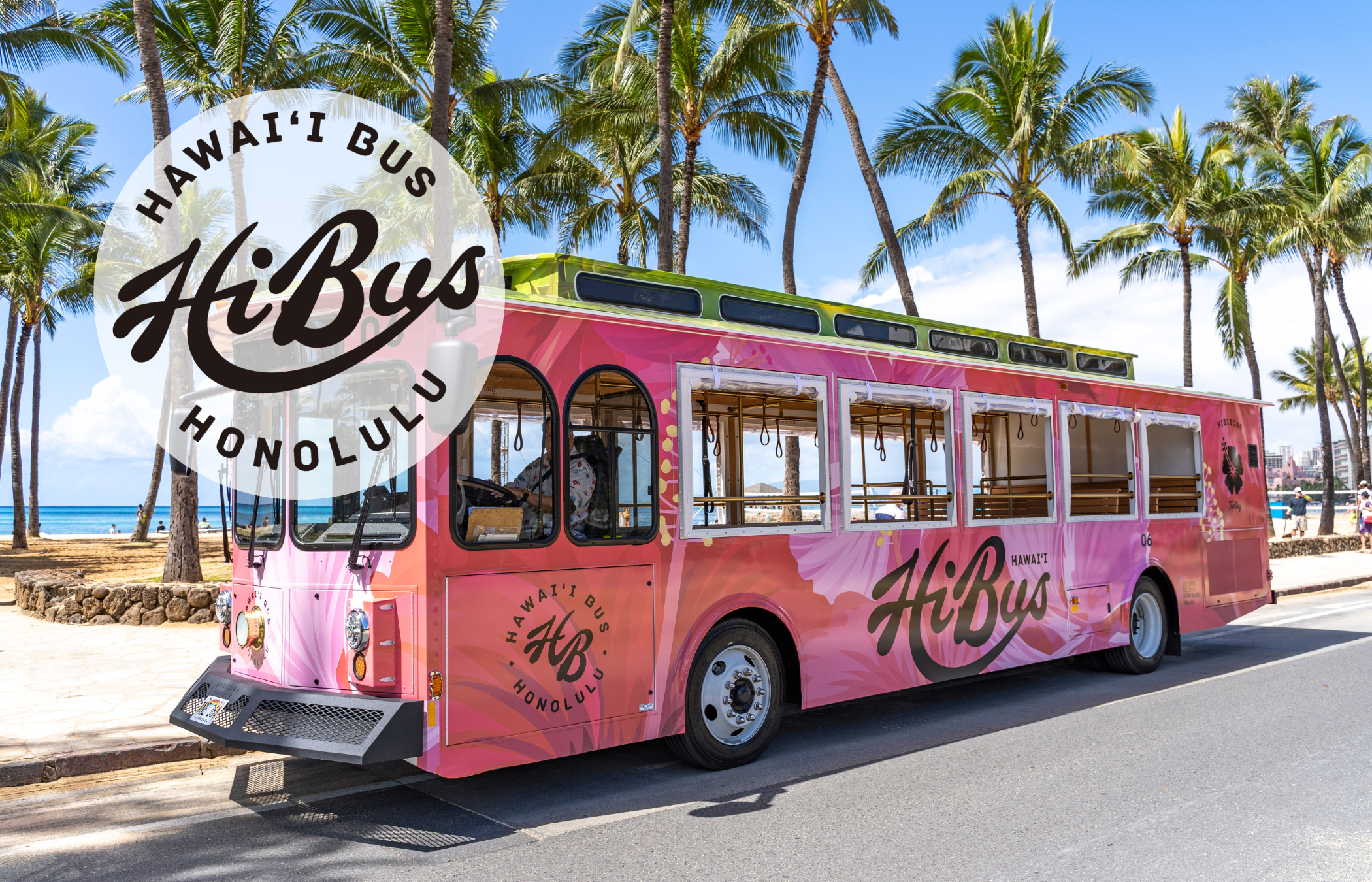 HiBus Trolley 1 Day - ALL Routes Pass (E-Ticket)