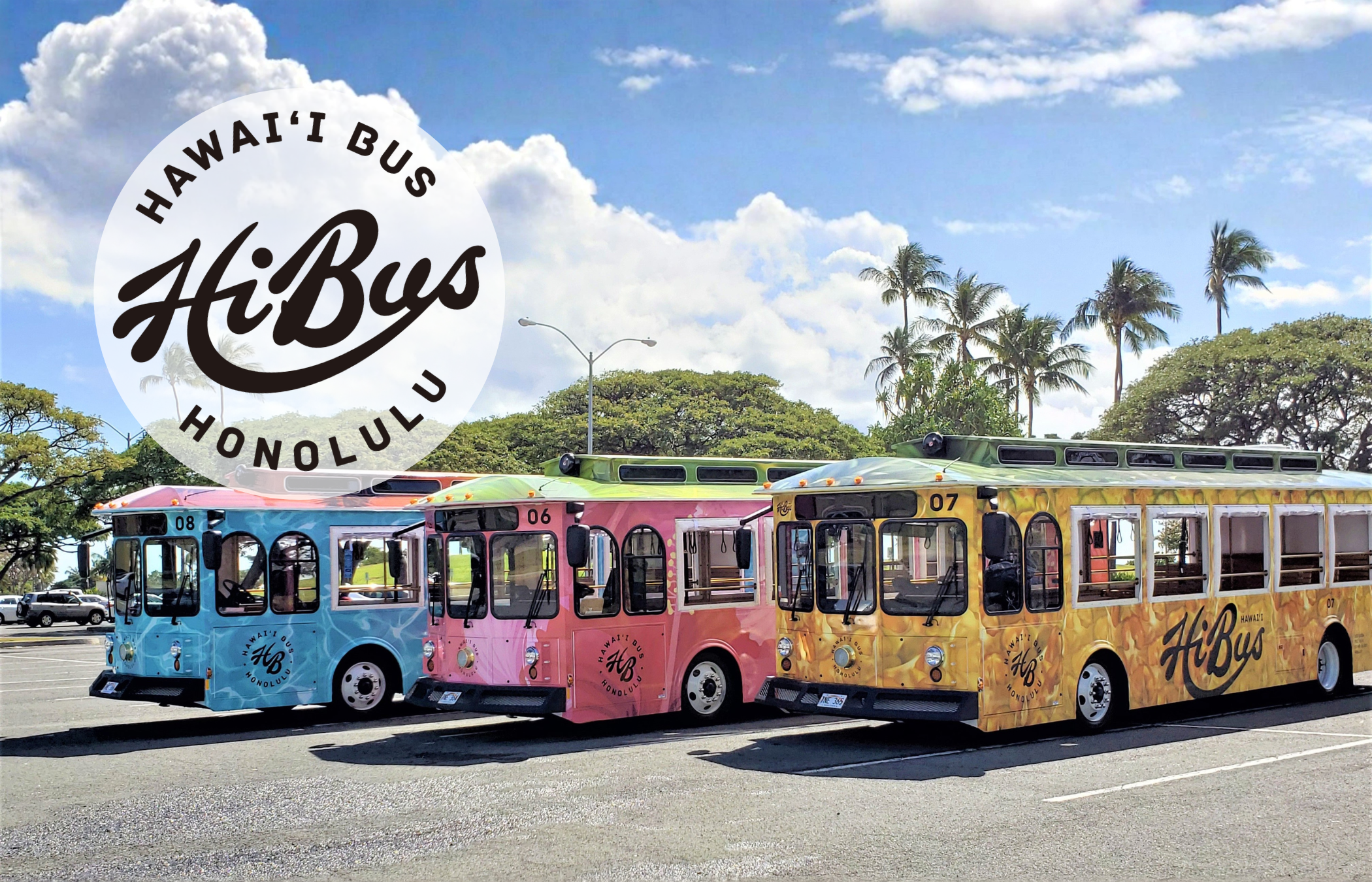 HiBus Trolley 4 Day - ALL Routes Pass  (E-Ticket)