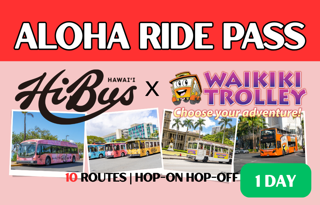 Aloha Ride Pass 1-Day Unlimited Trolley Ride Pass  (E-Ticket) HiBus and Waikiki Trolley All 10 Routes Pass