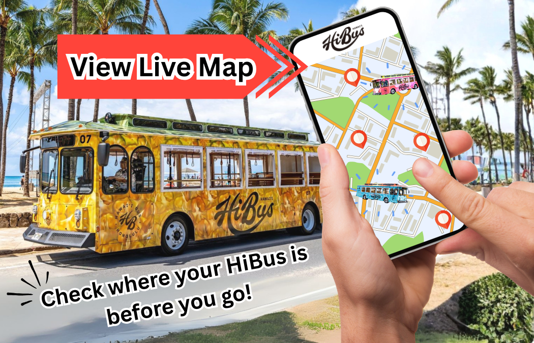 View HiBus Real-Time Location