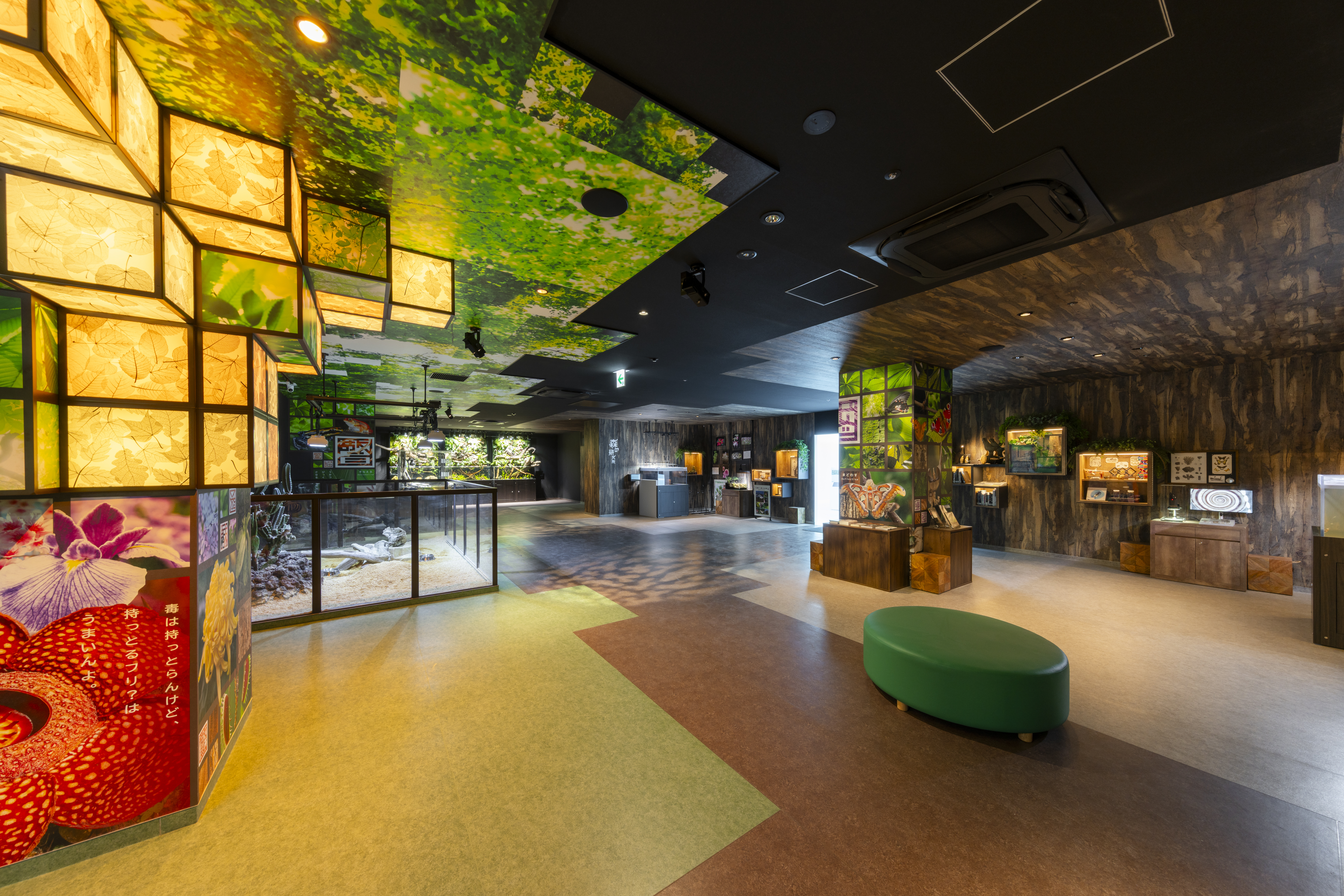 囀る鳥は羽ばたかない 歌舞伎町水族館年間パスポート 3枚セット 囀る鳥