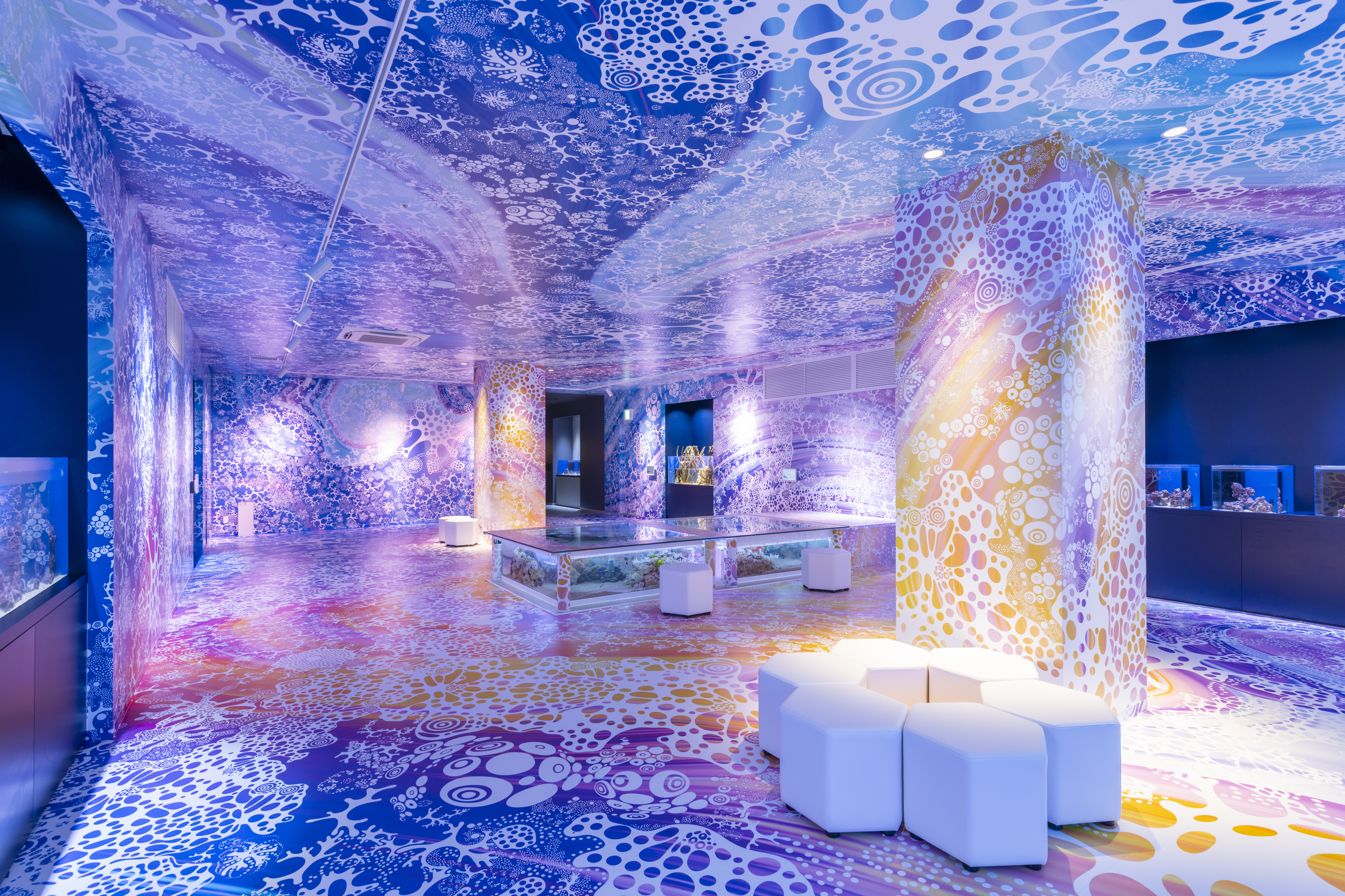 3ヶ月パスポート | 広島もとまち水族館 Aqua Alive Museum｜デジタル