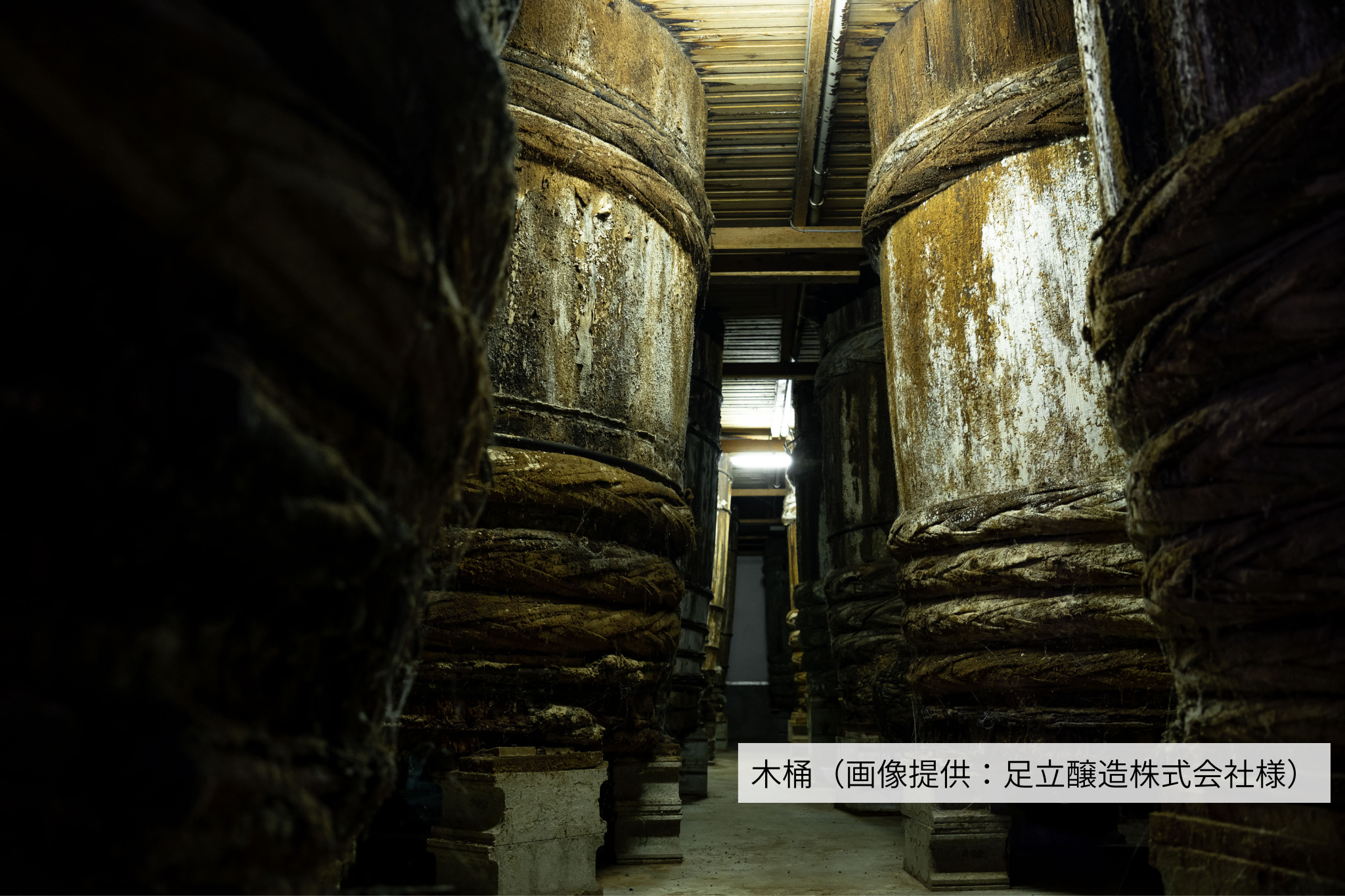 発酵と健康をめぐる丹波時間 ― 足立醸造 蔵まつりと通常非公開・本社蔵