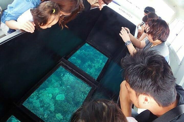 【電話予約】アオサンゴグラスボート