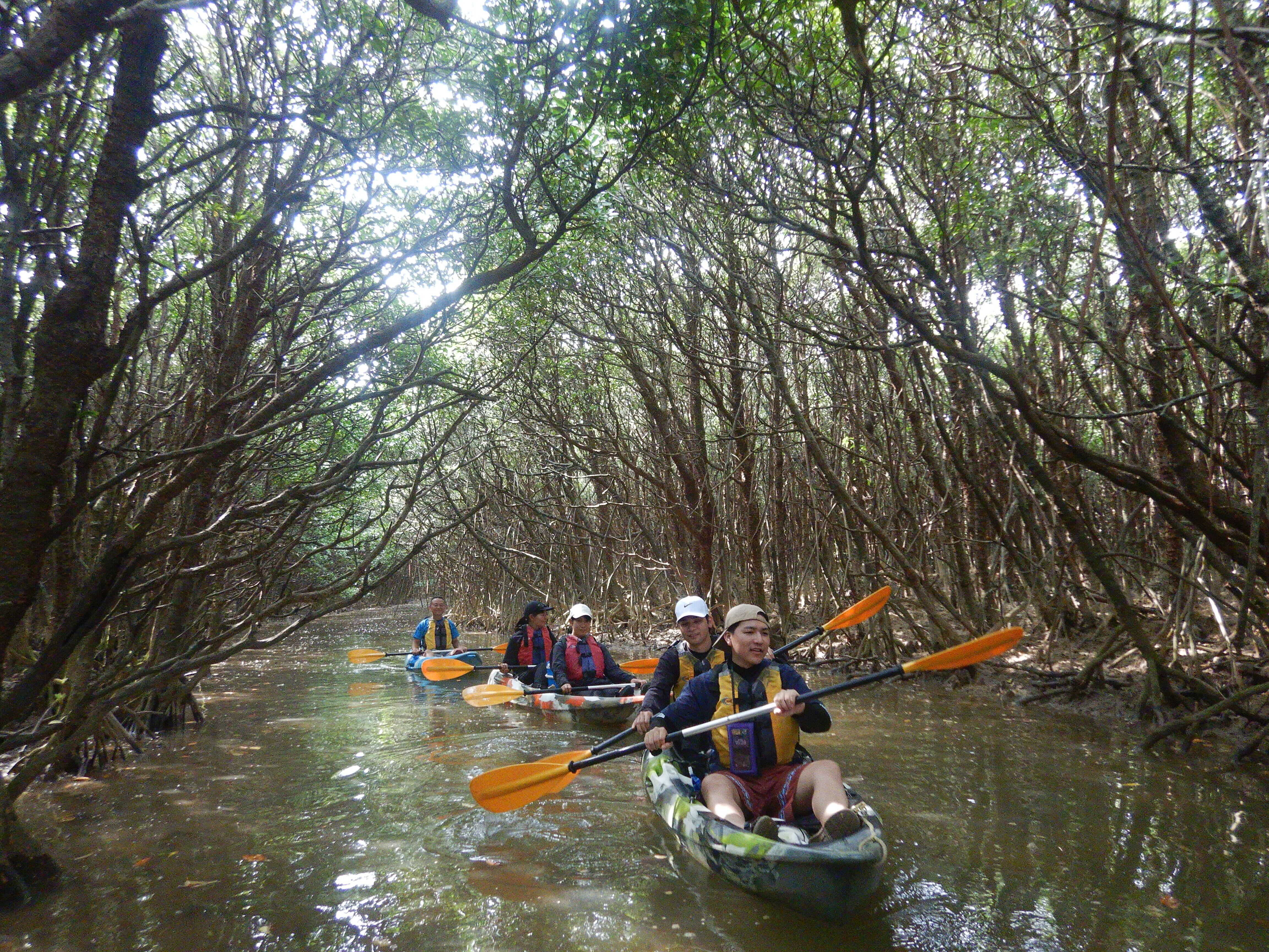 Gesashi River Mangrove Kayak Tour - 2.5-hour course <Available year-round>